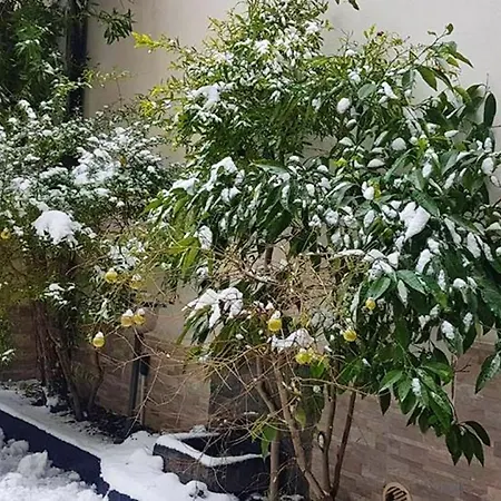 5 Bedrooms House With Wifi At Linguaglossa
